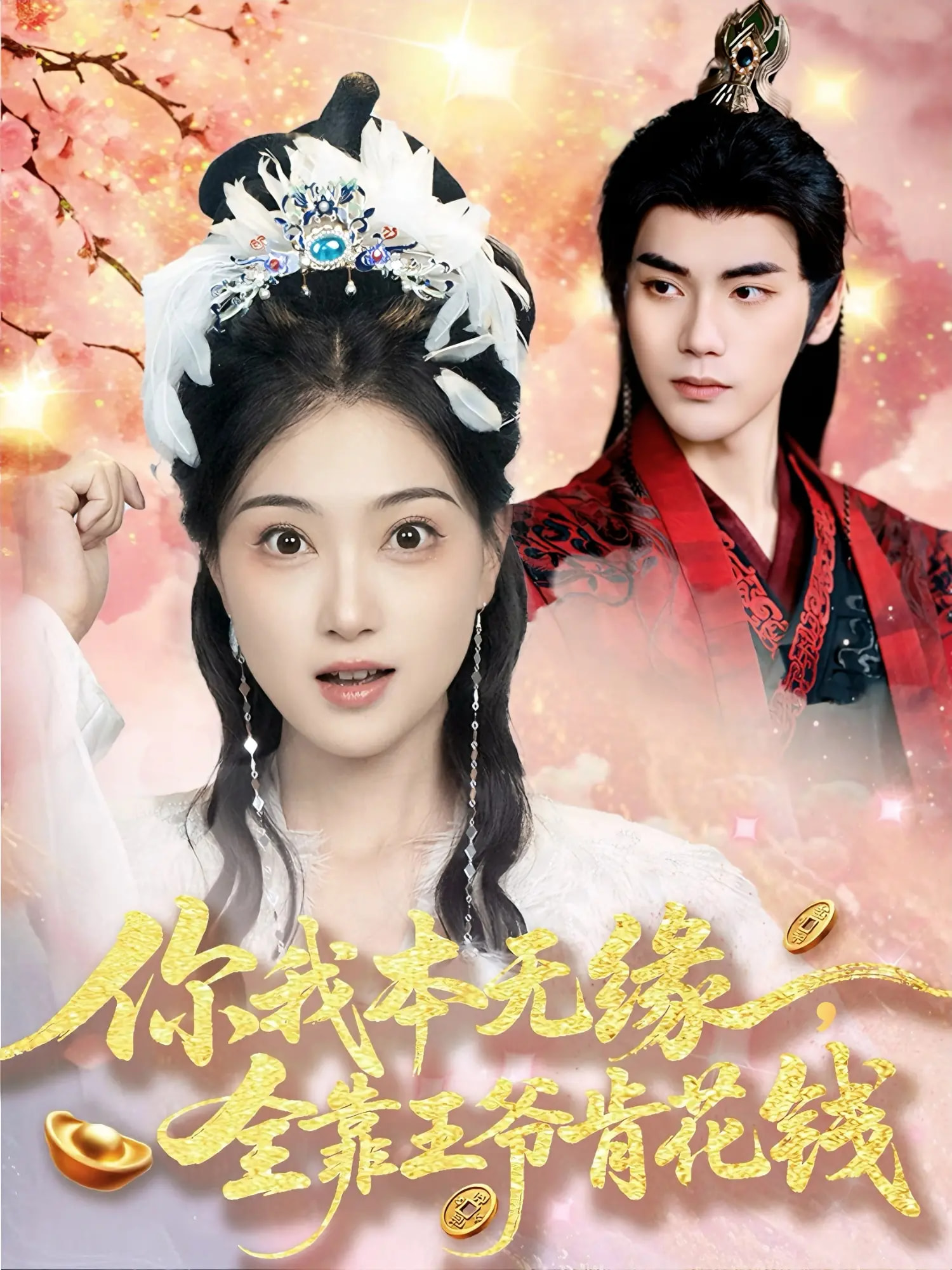 你我本无缘全靠王爷肯花钱(全集)