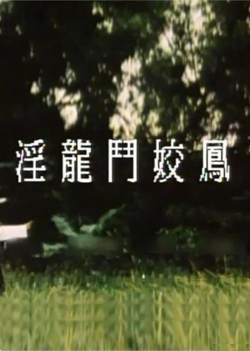 淫龙斗娇凤