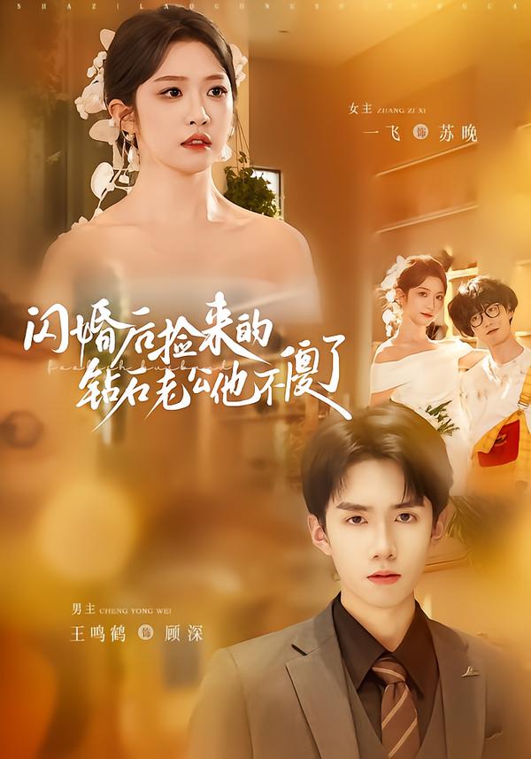 闪婚后捡来的钻石老公他不傻了(全集)