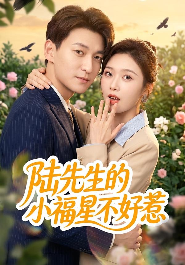 陆先生的小福星不好惹(全集)