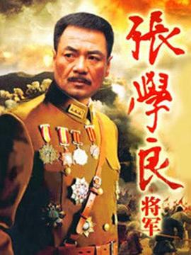 张学良将军 第21集